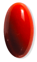 辅酶Q10