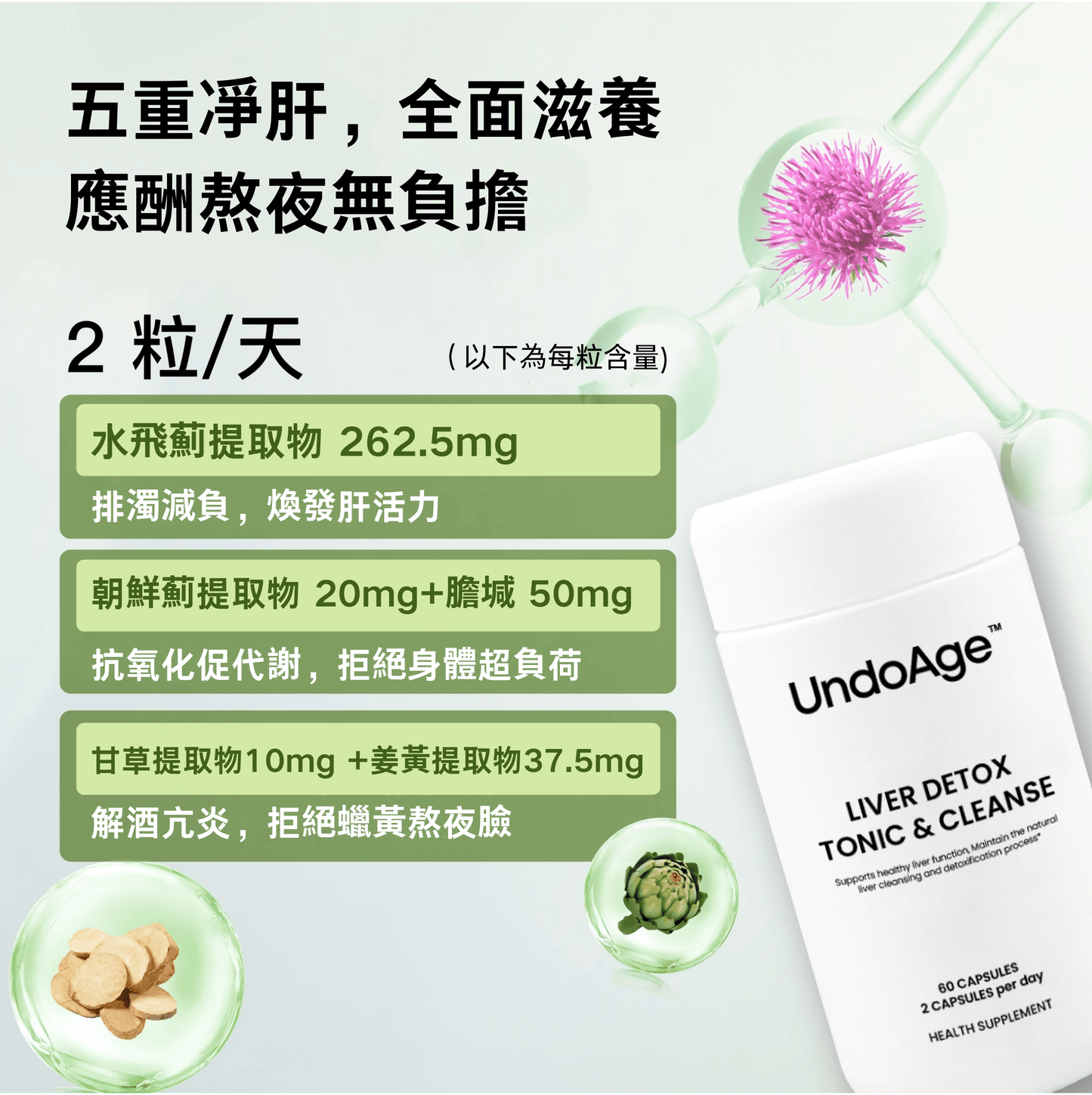 奶薊草護肝片