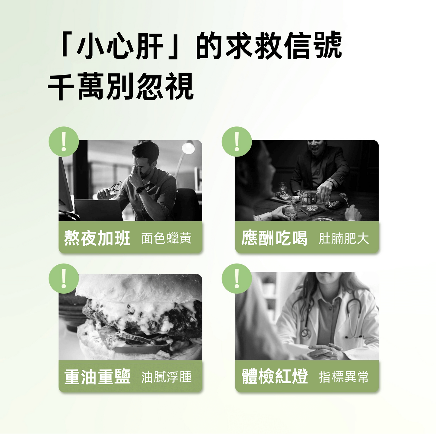 奶薊草護肝片