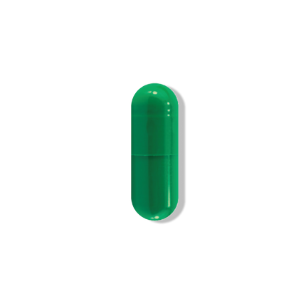 奶蓟草水飞蓟宾肝脏宝