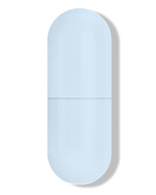 Akkermansia muciniphila