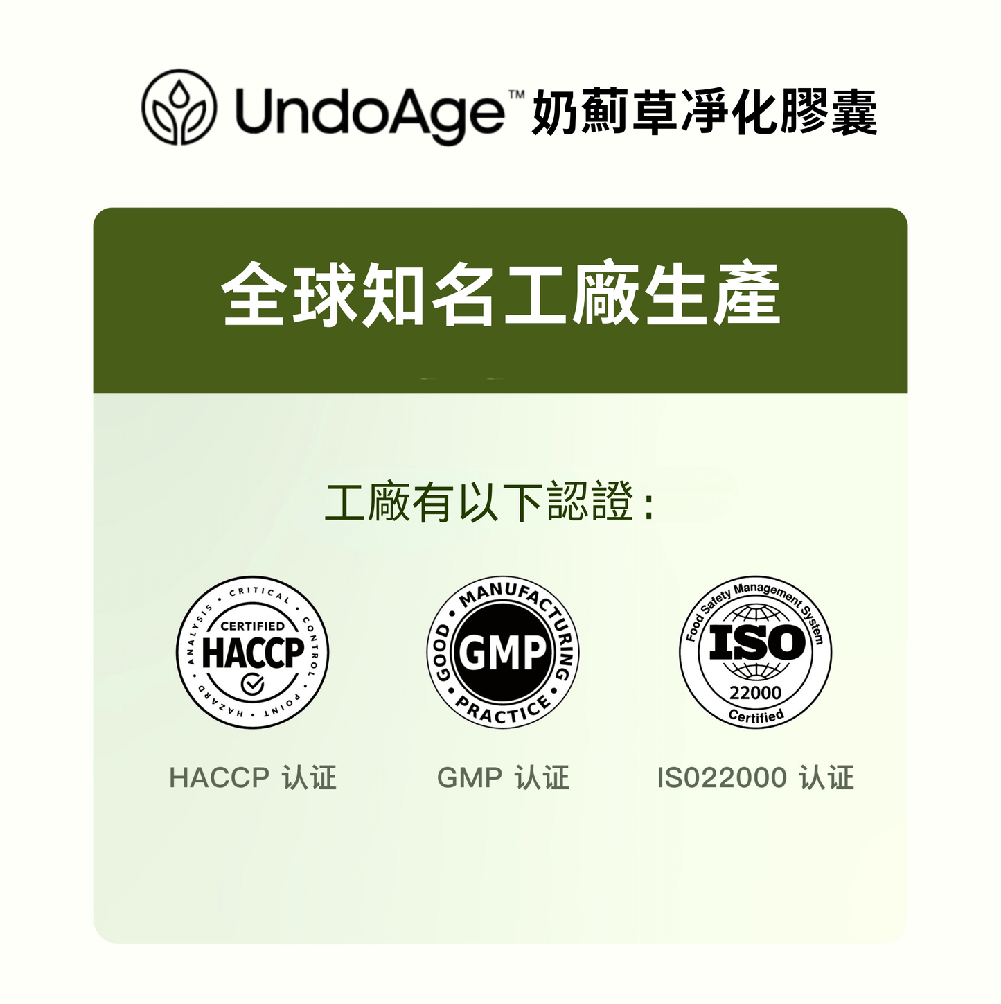 奶薊草護肝片