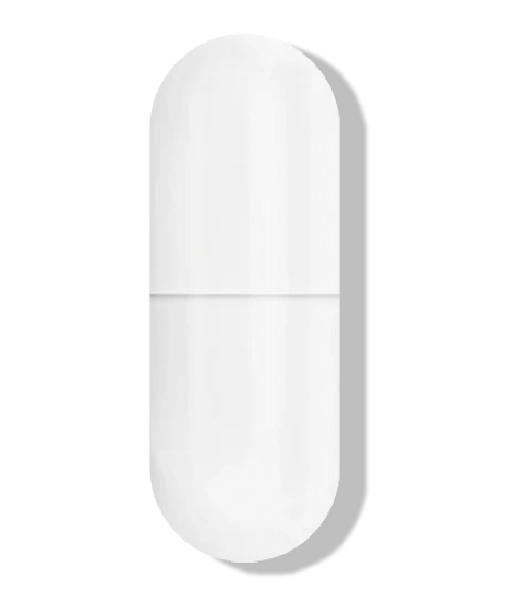 Akkermansia muciniphila