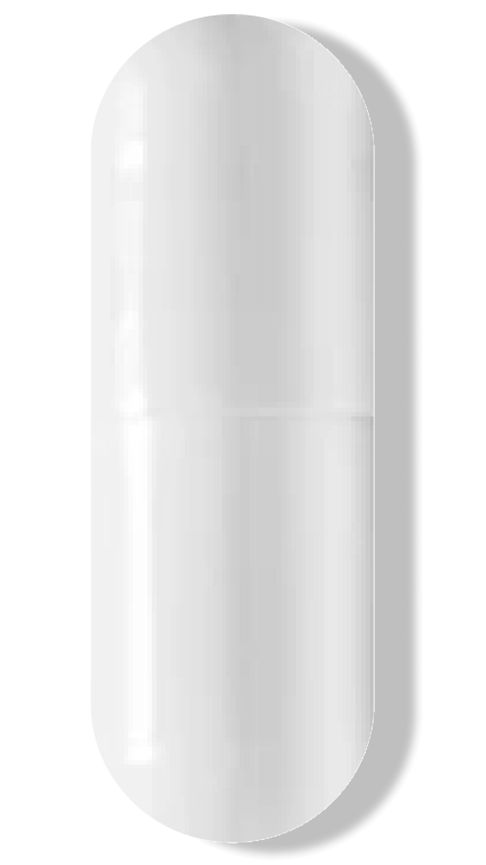 Akkermansia muciniphila