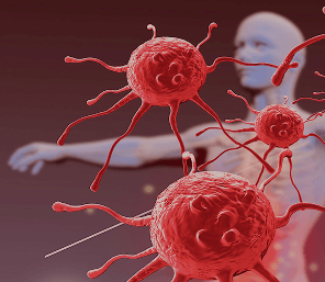 缓解血管僵硬研究