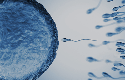 提升睡眠质量研究