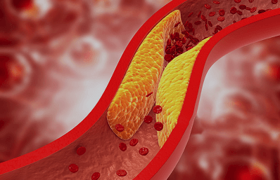 延缓生理衰退研究